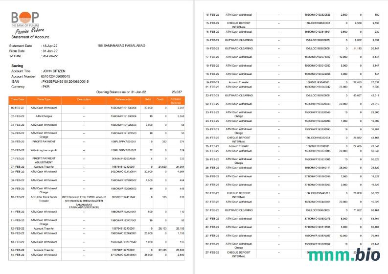Indie tab wyciąg bankowy Word i PDF szablon, 2 strony